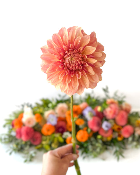 Late Summer Mix • Seasonal • In a Vase