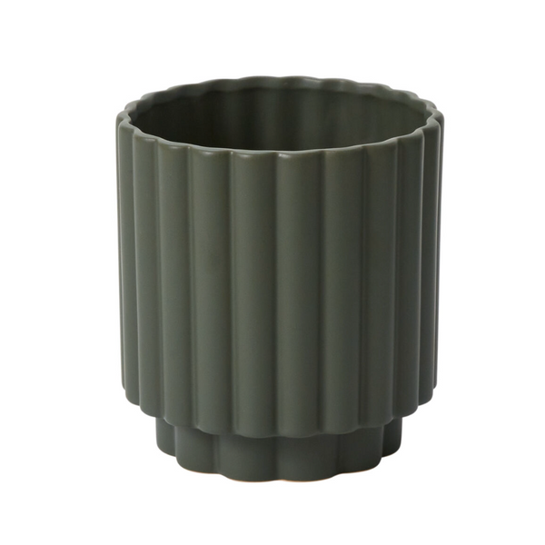 Holiday Amaryllis Mix • Seasonal • Arranged