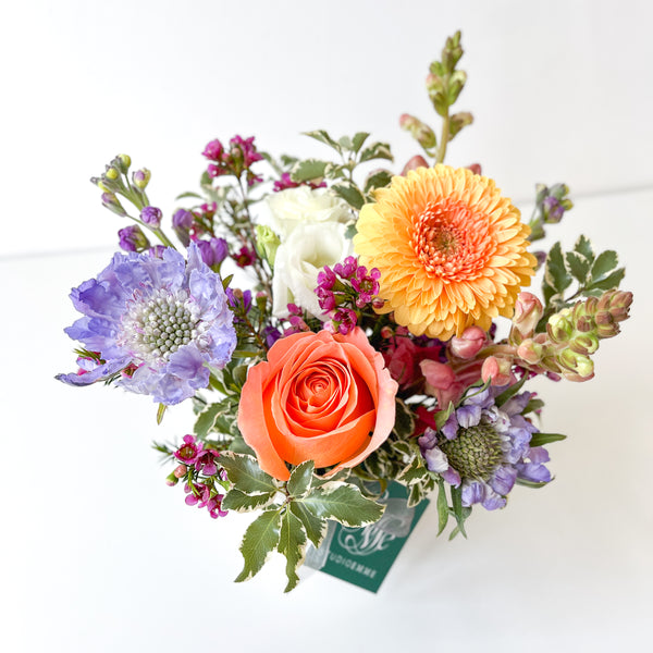 Pet-Friendly Mix • Seasonal • In a Vase