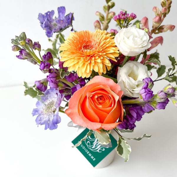 Pet-Friendly Mix • Seasonal • In a Vase
