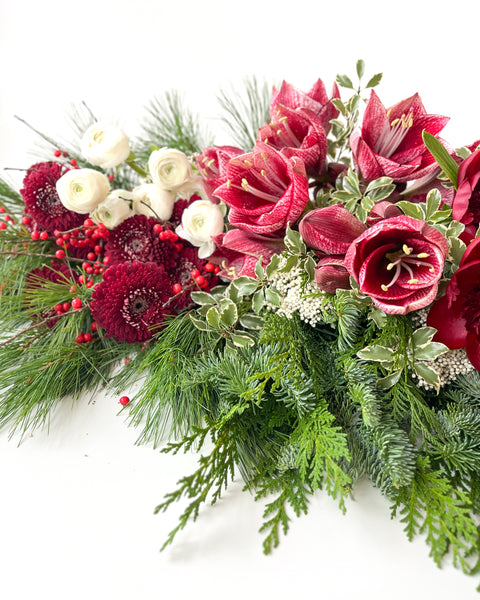 Holiday Amaryllis Mix • Seasonal • Arranged