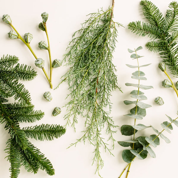 Holiday Wreath Workshop • Bentley Wreath | Saturday • Dec 2 • 6-8pm | Edina