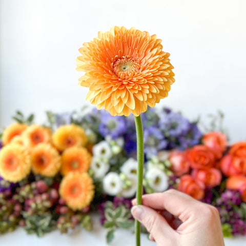 Spring Mix • Seasonal • Hand-Tied