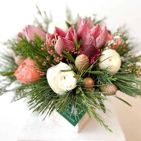 Holiday Amaryllis Mix • Seasonal • In a Box