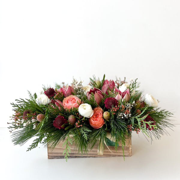 Holiday Amaryllis Mix • Seasonal • In a Box