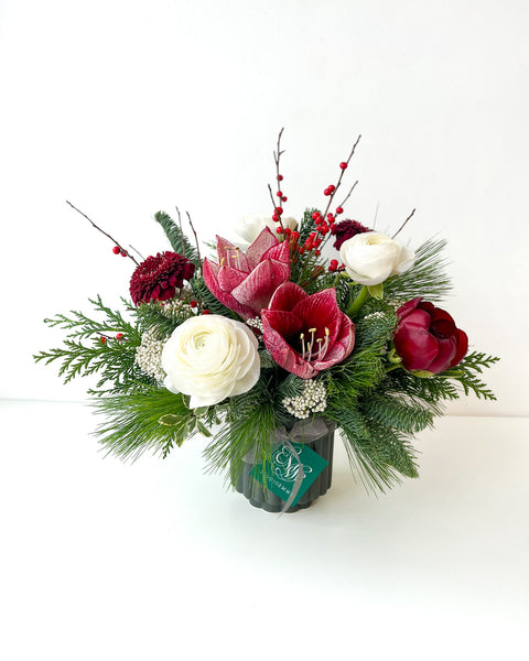 Holiday Amaryllis Mix • Seasonal • Arranged