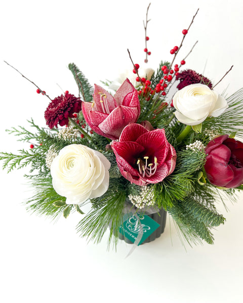 Holiday Amaryllis Mix • Seasonal • Arranged