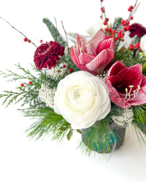 Holiday Amaryllis Mix • Seasonal • Arranged
