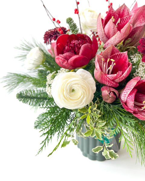 Holiday Amaryllis Mix • Seasonal • Arranged