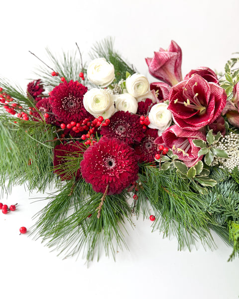 Holiday Amaryllis Mix • Seasonal • Arranged