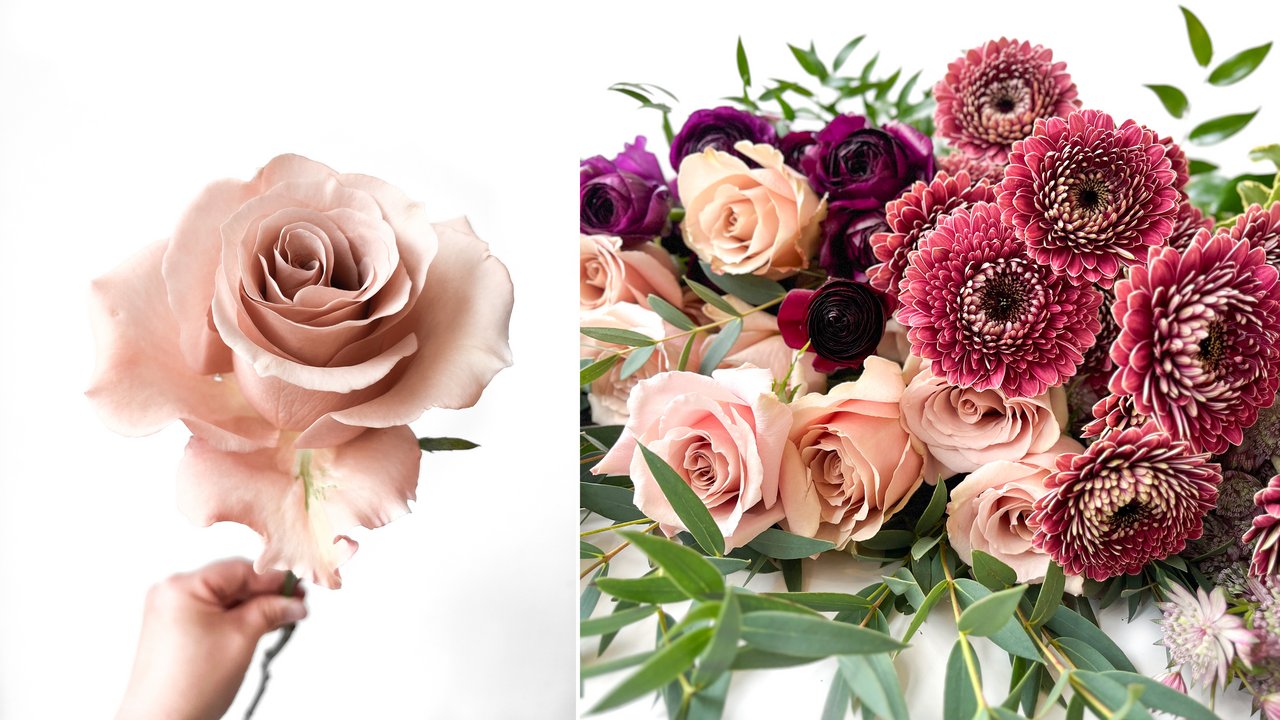 Garden style flowers featuring roses with ranunculus, gerbera daisies and astrantia with greenery in a muted and moody mix of dusty rose, white and mauve.